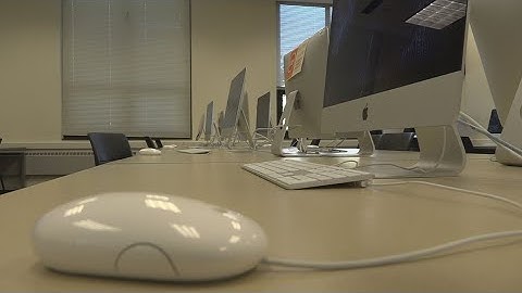 IT and software engineers: the unsung heroes of the COVID-19 pandemic