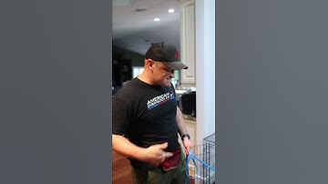 Part (1) Teaching puppy how to go back into crate #animals #cane #canecorso #canecorsoitaliano