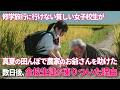 田んぼで倒れたおじいさんを助けた貧しい女子高生。数日後、全校生徒が凍りつく事態に…