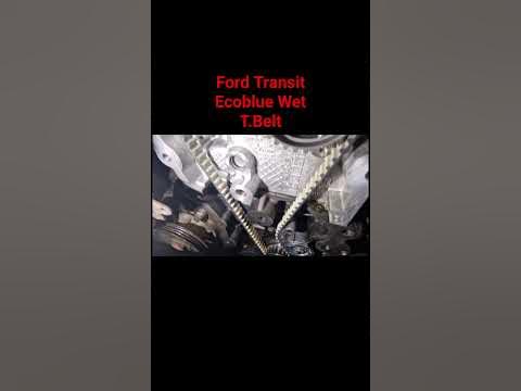 Ford Transit MK8 Wet Timing Belt #FordTransit #WetTimingBelt #