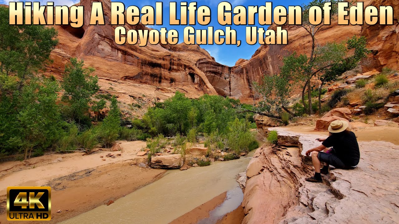 Hiking A Real Life Garden Of Eden Coyote Gulch 4k Youtube