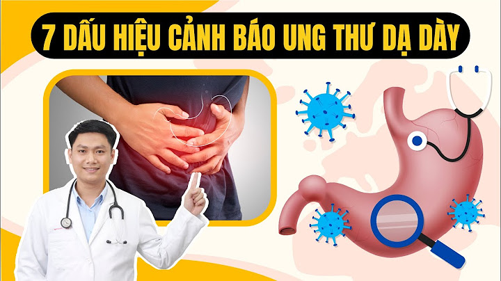 Bao tử và dạ dày khác nhau như thế nào năm 2024