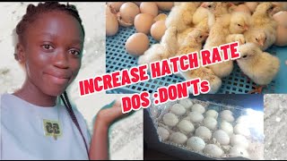 How To Select Eggs For Incubation | How To Increase Hatch Rate | Why Eggs Don't Hatch Profile