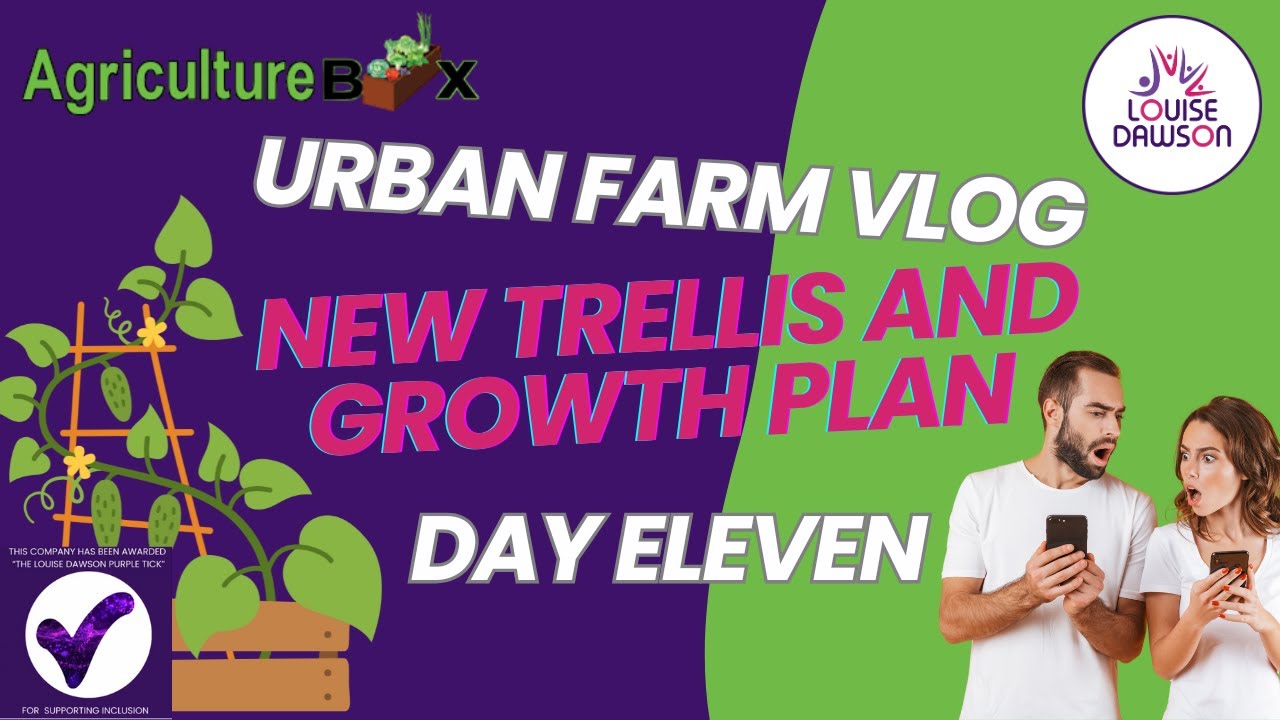 Day 11 | Sweet Potato Trellis DIY & Our Youth Sustainability Team | Agriculture Box