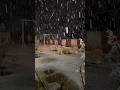 Live snow 😍 home sweet home #kakul #abbottabad #snow