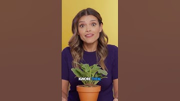 This Common Mistake Kills Businesses...