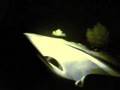 Travel - Music by Ken Ishii "No" -