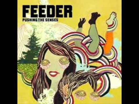 Feeder Morning Life Youtube