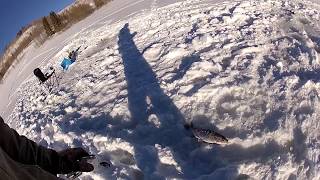 Cleveland Ice Fishing January 2, 2014
