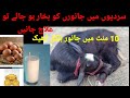 Hypothermia Treatment In Calf جانور کو سردی لگ جائے تو کیا کریں Dr Umair