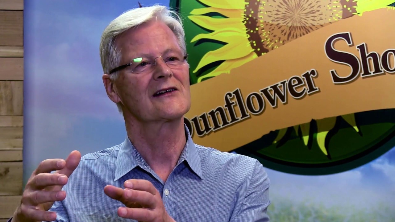 The Food Oil Foundation: Omega Oils Are The Fuel For Weight Loss