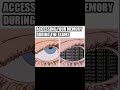 #viral #funny #memes #youtube #youtubeshorts #ytshorts #shortvideo #shorts #short #fyp #funnymemes