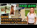 Шок от покупки палета🤦🏼‍♀️ Когда заберем кошку? Обустраиваем задний двор. Купили вентиляторы. США