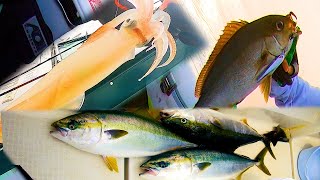 いろいろ釣れて楽しい！玄界灘スーパーライトジギング～イカメタル。イサキ！ヒラマサ！剣先イカ！