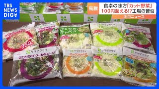 カット野菜「100円の壁」維持に限界　キャベツ高騰の影響のほかにエネルギーコストや人件費が上昇｜TBS NEWS DIG