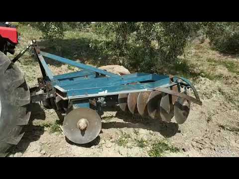 Bahçemize goble (diskaro) çekiyoruz.| Massey Ferguson 135