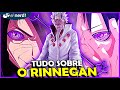 RINNEGAN: TUDO QUE VOCÊ PRECISA SABER