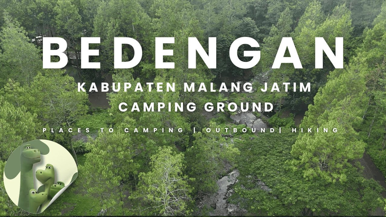 Healing di Hutan Pinus Bedengan | Tempat Camping Paling Adem Dekat Kota Malang