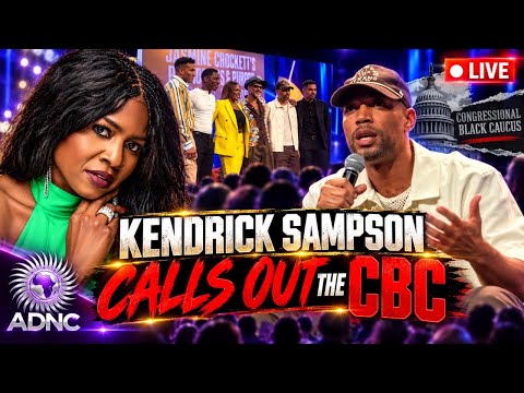 TV Host HUMILIATES Black Caucus During Jasmine Crockett Panel