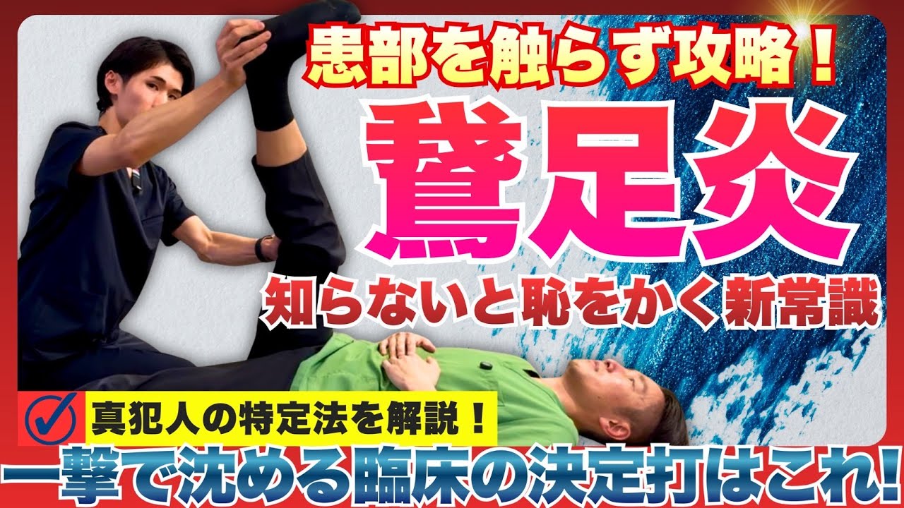 【膝痛シリーズ】鵞足炎施術で劇的変化を求める先生へ！鵞足炎の根本原因を理解して、薄筋・縫工筋・半腱様筋をどう診るか？それぞれの評価からアプローチまでの全てを解説！#整体 #整体師 #整骨院 #鵞足炎