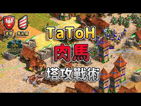 TaToH波蘭肉馬塔攻戰術狂插四根箭塔！Liereyy馬弓標騎兵能夠扛下波蘭騎兵大軍嗎？《馬札爾 vs 波蘭》【CC字幕】【世紀帝國2：決定版】