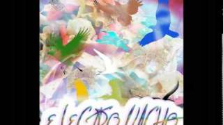 Animal Collective - Electro Nacho (NEW)