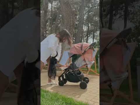 Москитная сетка на коляску Elodie Москитная сетка на коляску Elodie