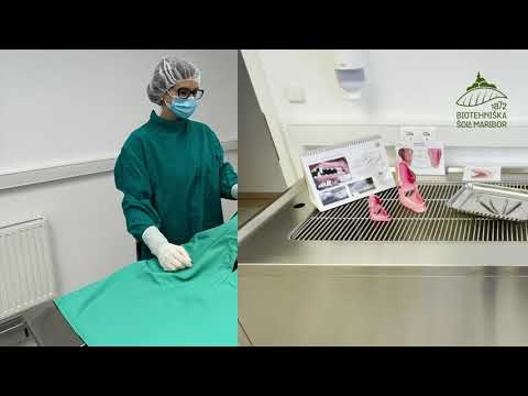 Video: Hudiča! Transfuzijska Medicina In Kritična Veterinarska Zdravstvena Kriza