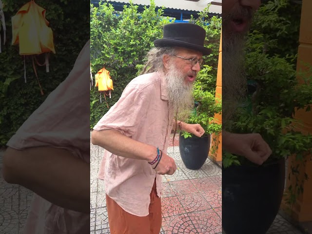 Silk worms in Vietnam