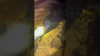 Los cocodrilos en las alcantarillas no existen, also, el cocodrilo en las alcantarillas Los cocodrilos en las alcantarillas no existen, also, el cocodrilo en las alcantarillas