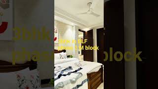M3/55 DLF phase 2 Luxury floor for rent in Gurgaon Haryana .#home #3bhkflatindelhincr #realestate