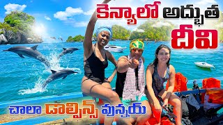 Wasini island dolphin tour kenya
