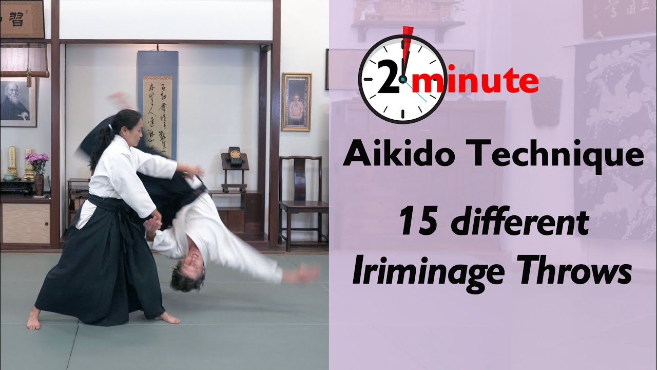 15 Different Iriminage Throws aikido aikidothrows nagewaza 