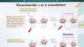 Topic 8 (BIO201 - Cell Biology)