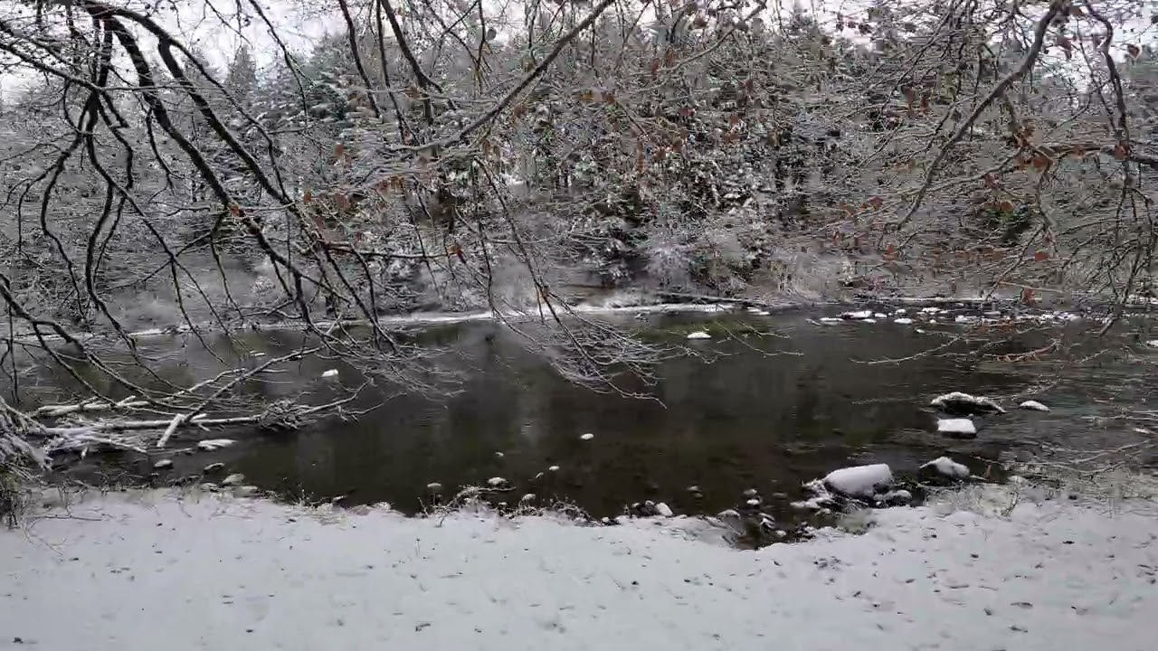 2026 Winter - 5 - Argen River - Wangen im Allgaeu