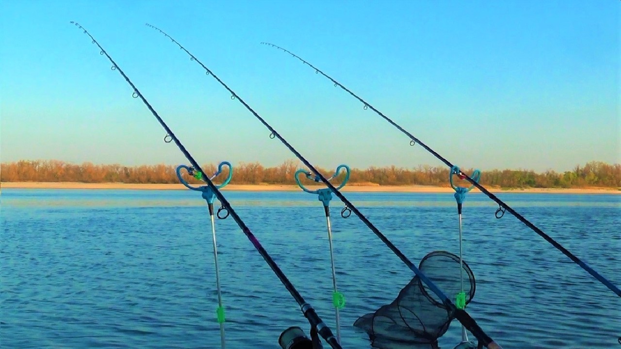 ЯМА ЗАБИТА РИБОЮ!!! СОМИ,  САЗАНИ ТОРПЕДИ, ЛЯЩІ.......