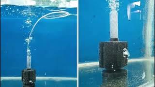Sponge filter hack to keep your fish tank clean