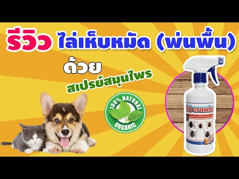 รีวิว สมุนไพรกำจัดเห็บหมัด สูตรพ่นพื้น หรือผนัง กําจัดเห็บในบ้าน สมุนไพรกำจัดเห็บกำจัดแมลง ได้ผลดี