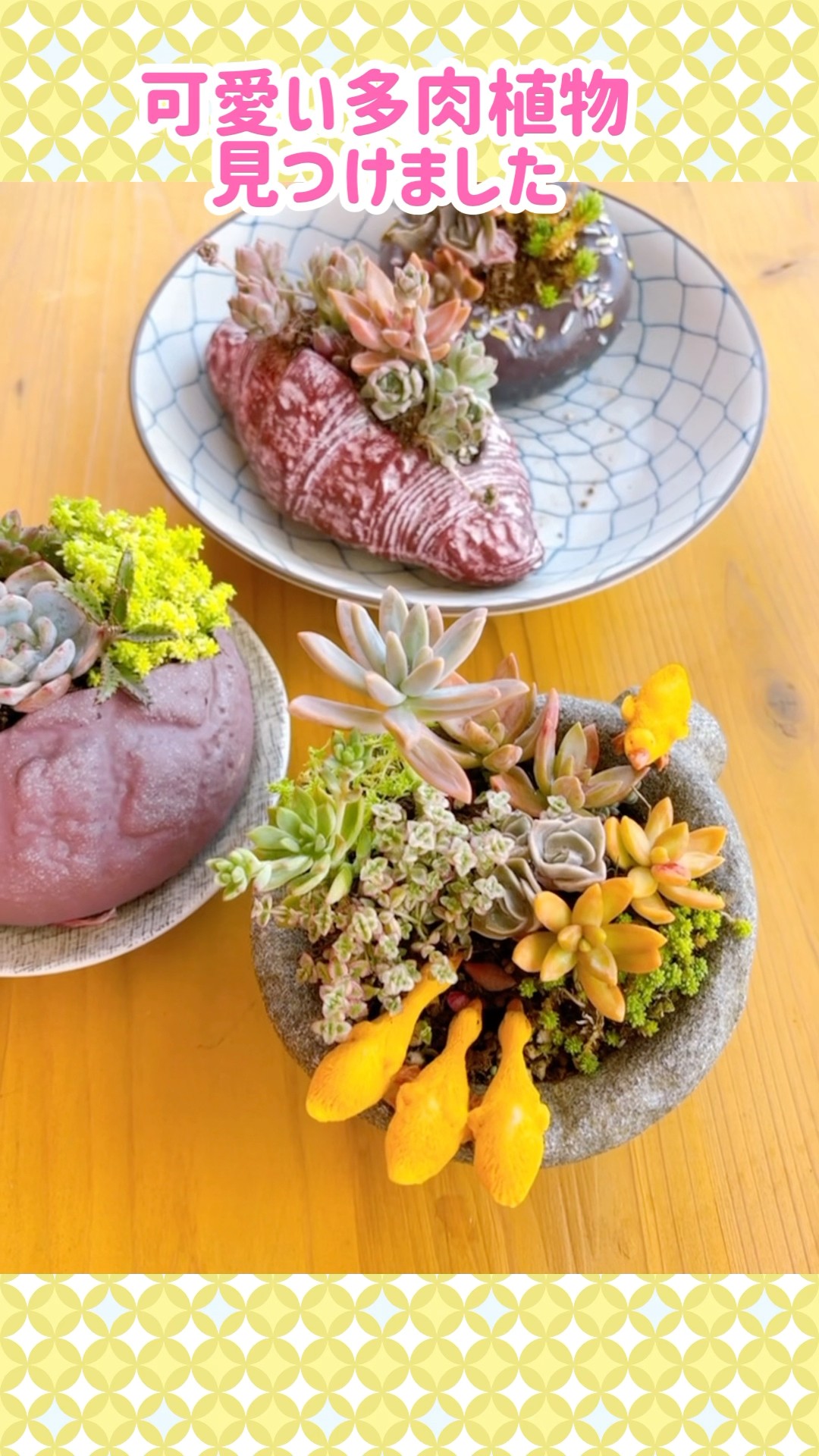可愛い多肉植物見つけました #shorts #パン屋 #多肉植物 - YouTube