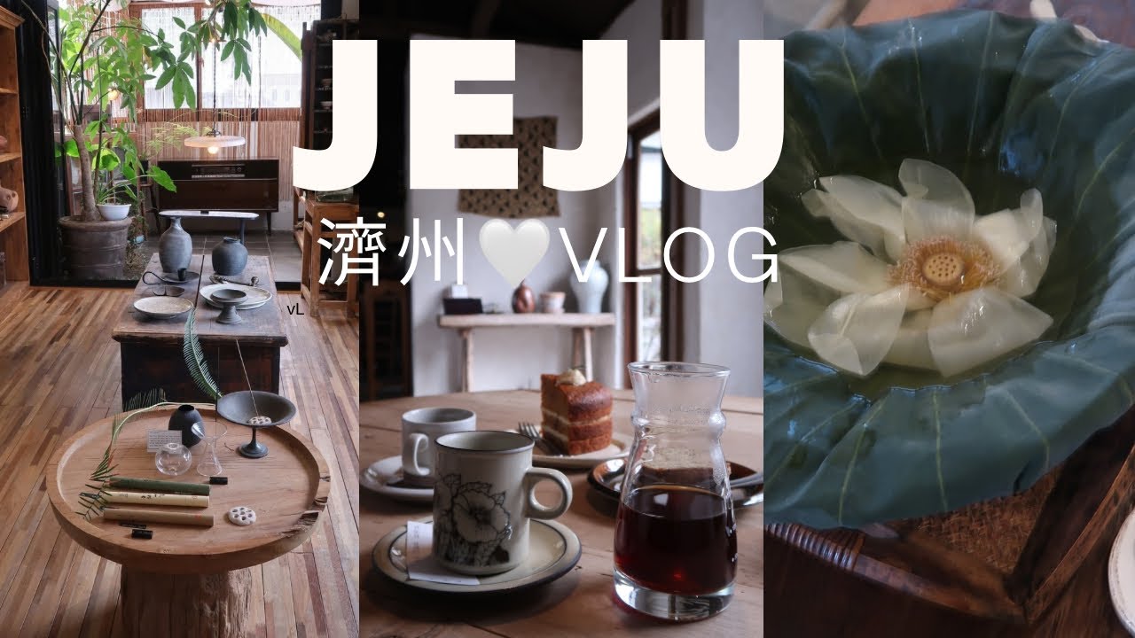 3박4일 제주여행🌴 하루2밥 2차로 동그라미가 되..🌚찜해둔곳 다 털고오는 효년여행.인생옥돔솥밥정식. 서쪽마녀의 빈티지샵.연꽃차를 마시는 갤러리 카페😌