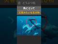 魚にとって災害みたいな生き物