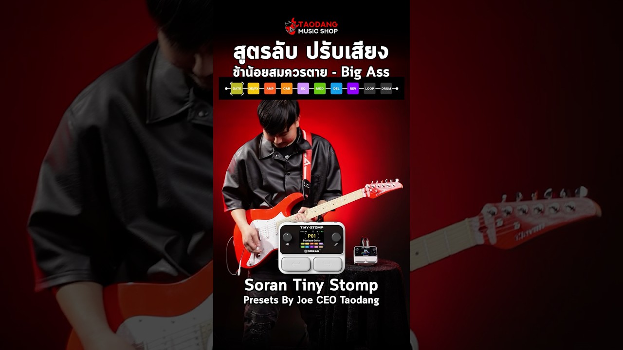 ⁣สูตรลับ ปรับเสียง ข้าน้อยสมควรตาย - Big Ass | รีวิวเสียง มัลติเอฟเฟค Soran Tiny Stomp | เต่าแดง