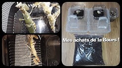 Mes achats de l'exposition d'insectes, reptiles de wattrelos ! Des nouveaux insectes