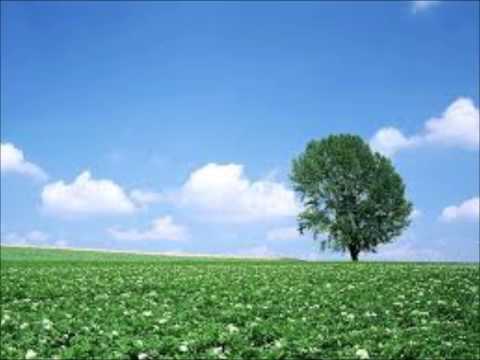 採檳榔 音樂