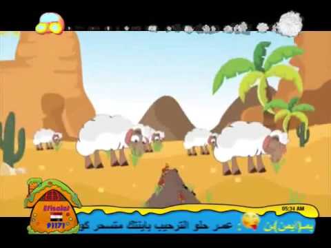 النمل ـ قناة كراميش 