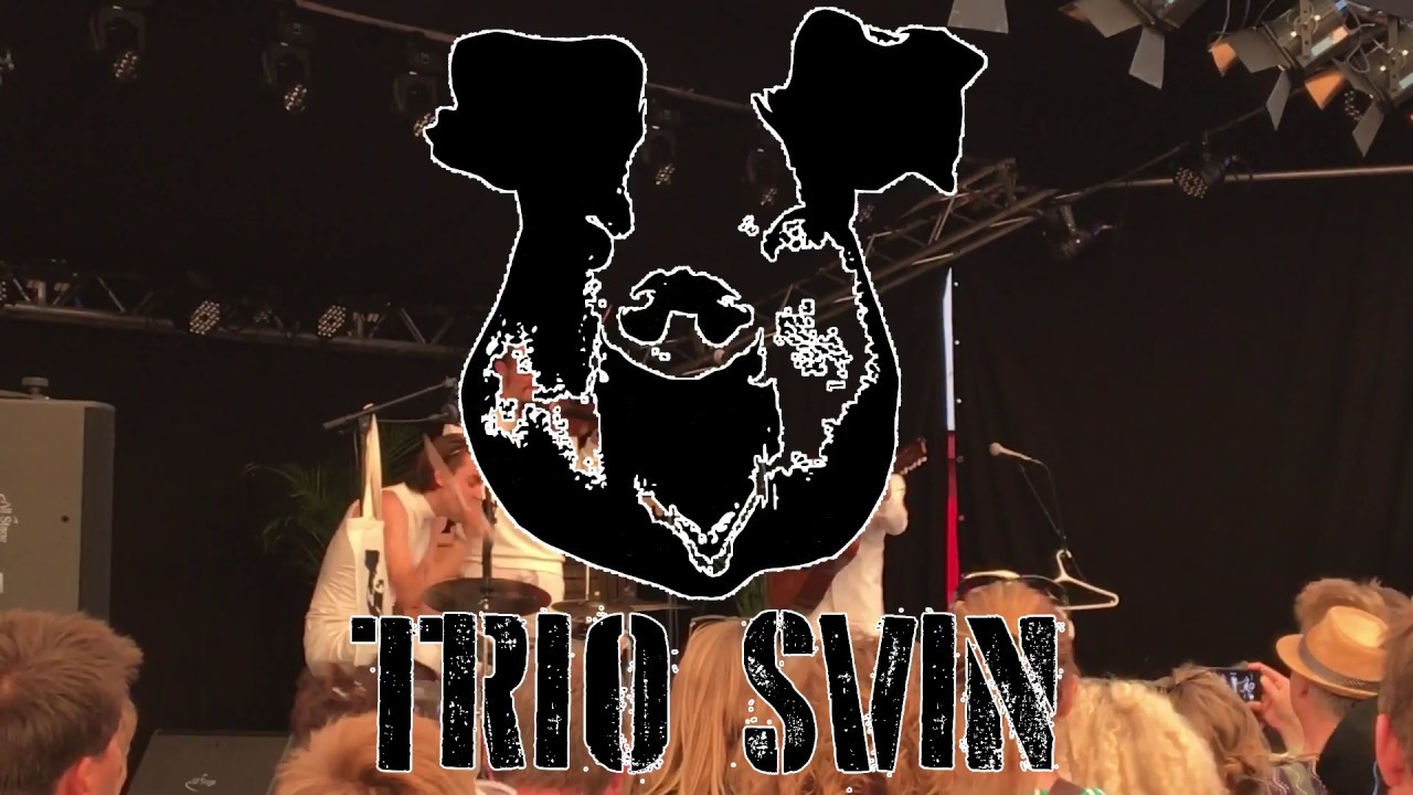 Trio Svin - promotion video