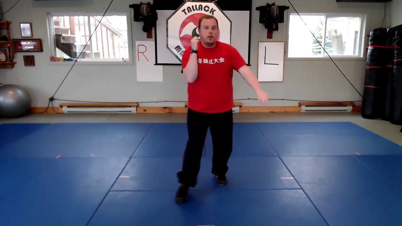 Lesson: Animal Walking Pt. 3 - YouTube