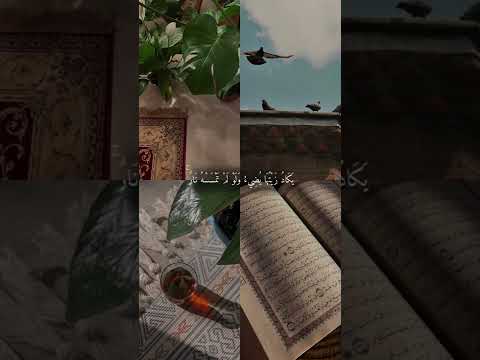 يارب سخر لي الاسباب