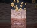Genital Herpes Explained #trending #viral #usa #fyp