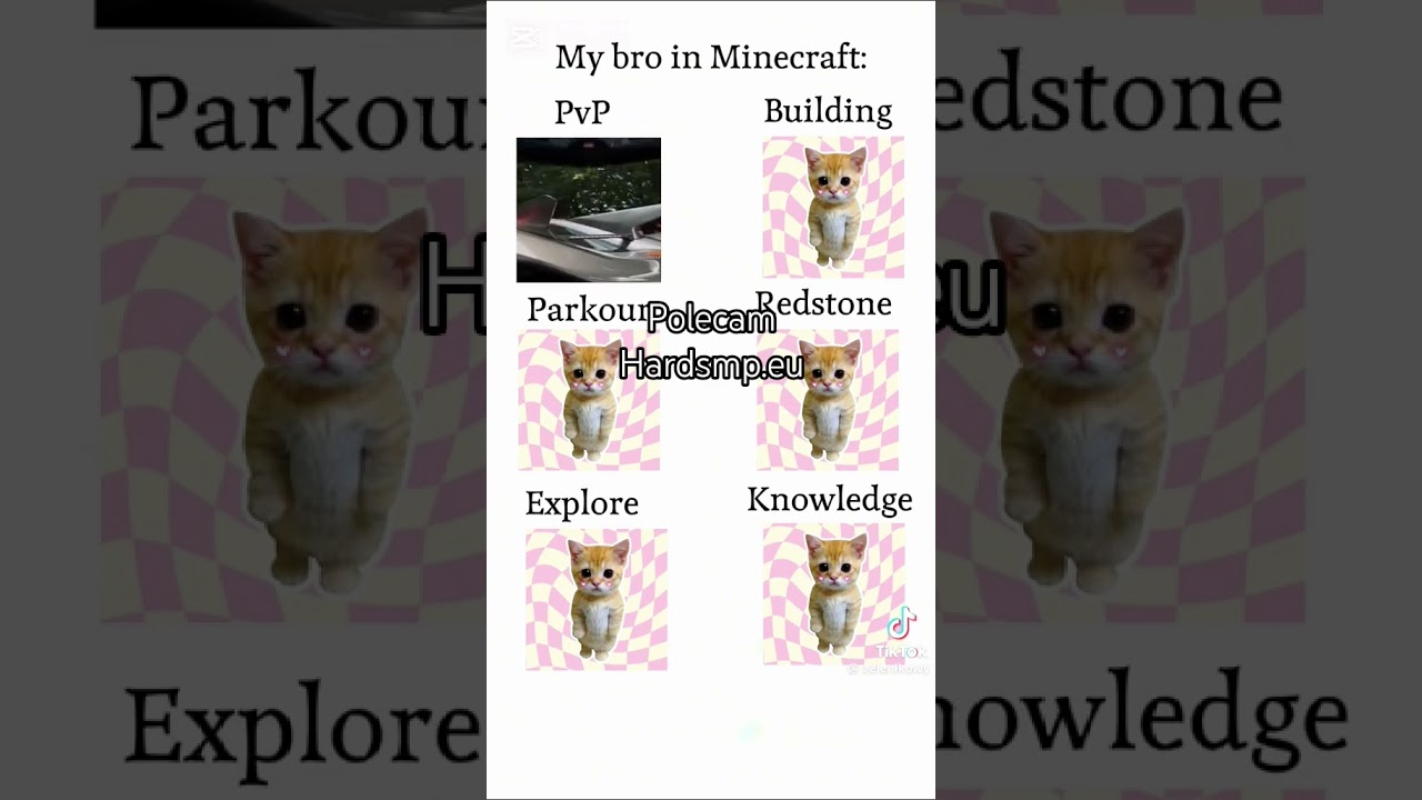 Polecam ➡️Hardsmp.eu⬅️ 